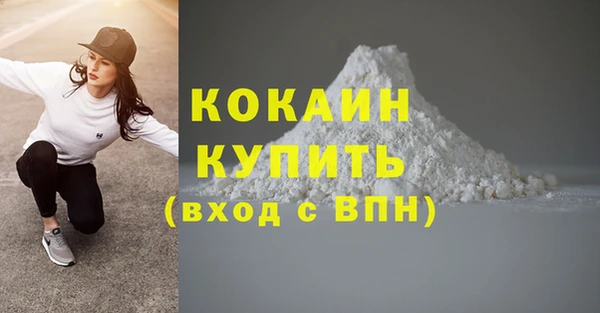 шишки Волоколамск